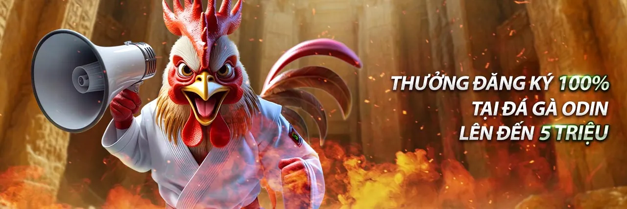 Banner khuyến mãi độc quyền e e88